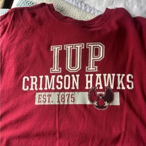 IUP Crimson Hawks Tee | Size L